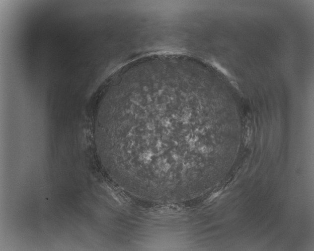 X0000071331255200606261238