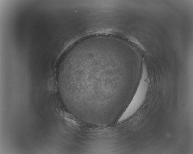 X0000071331256200606261237