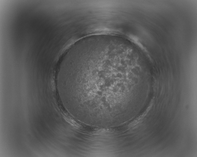 X0000071331259200606261237