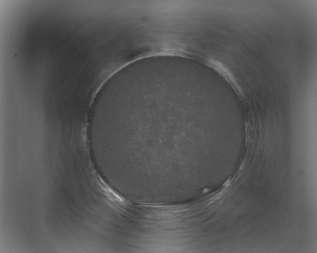 X0000071331260200606261237