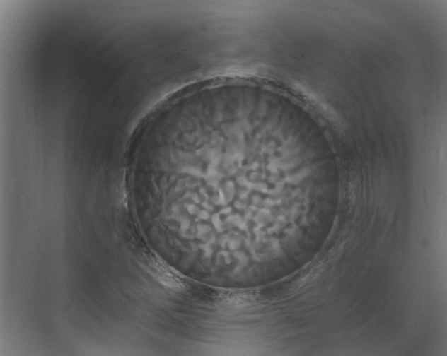 X0000071331262200606261237