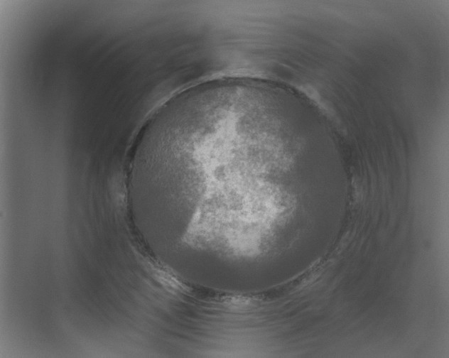 X0000071331266200606261237