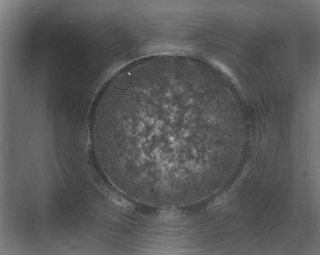 X0000071331267200606261237