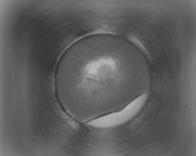 X0000071331268200606261237