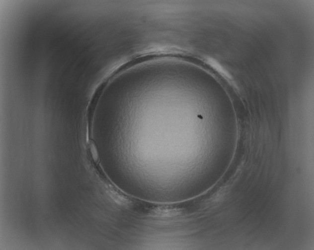 X0000071331269200606261237