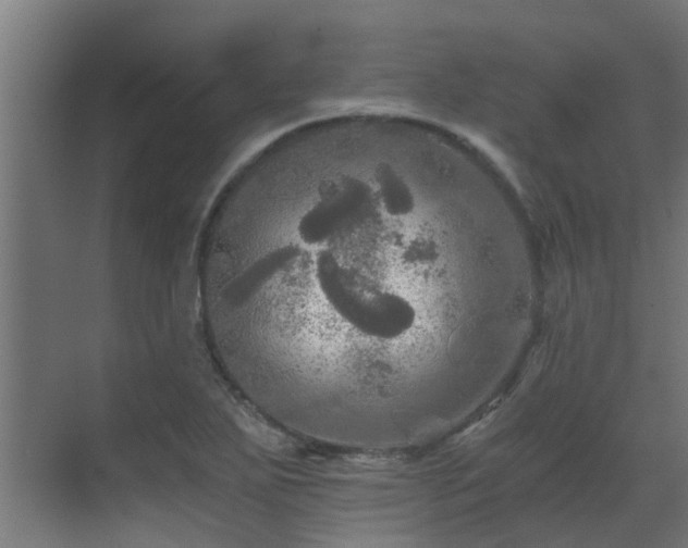 X0000071331271200606261237