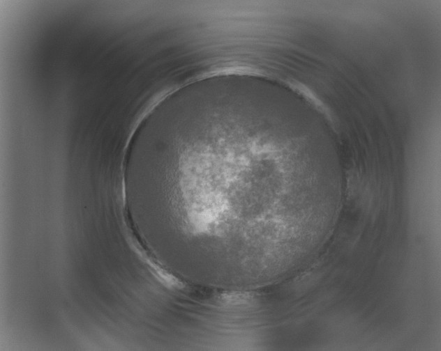 X0000071331274200606261237