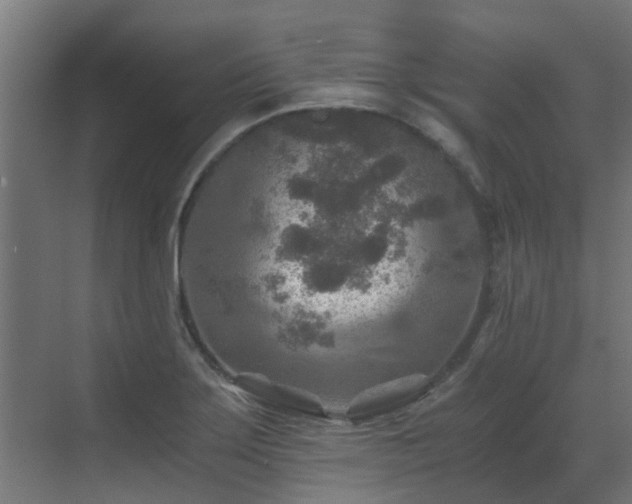 X0000071331275200606261237