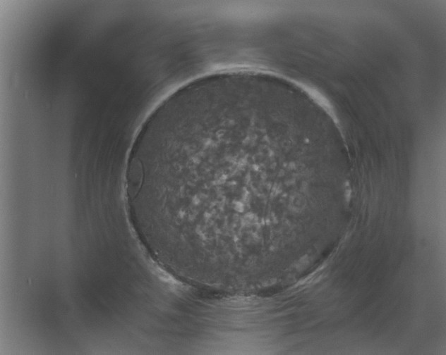 X0000071331279200606261237