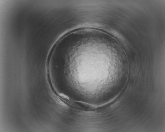 X0000071331280200606261237