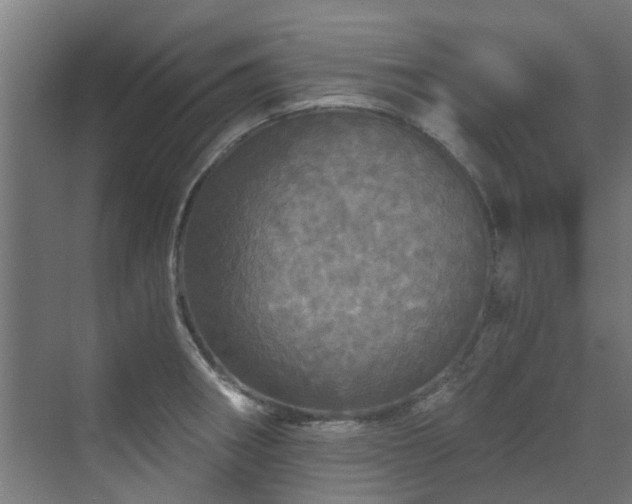 X0000071331282200606261237