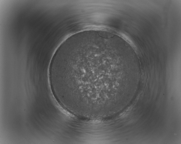 X0000071331283200606261237