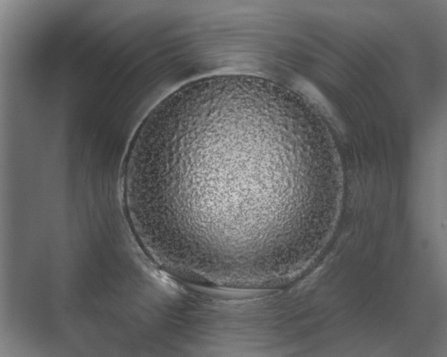 X0000071331284200606261237