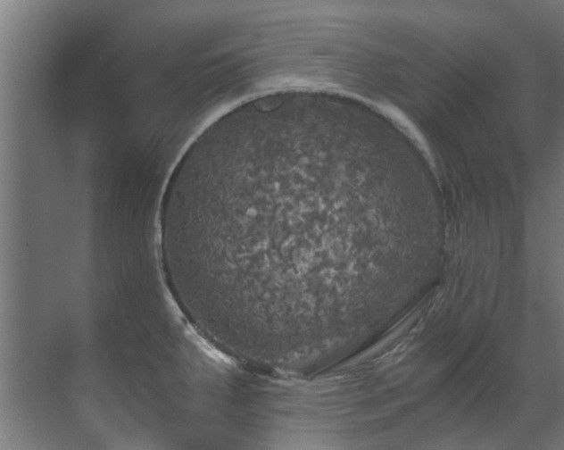 X0000071331287200606261237