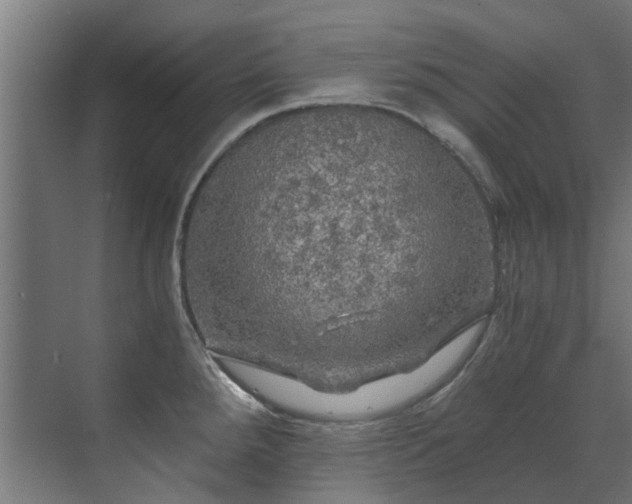 X0000071331288200606261237