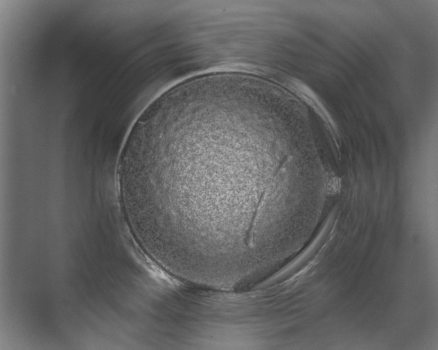 X0000071331292200606261237