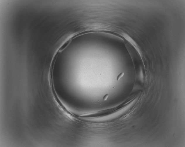 X0000071331293200606261237