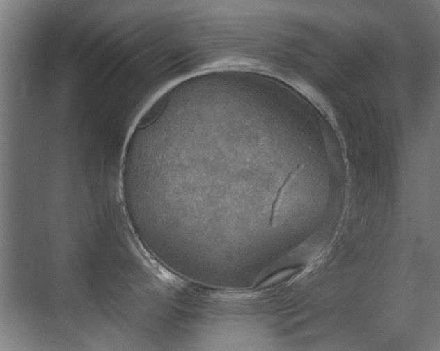 X0000071331296200606261237