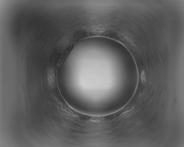 X0000071331299200606261236