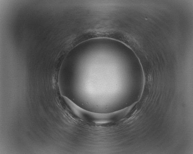 X0000071331300200606261236