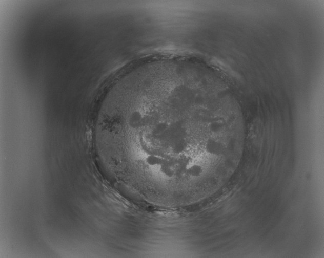 X0000071331302200606261236