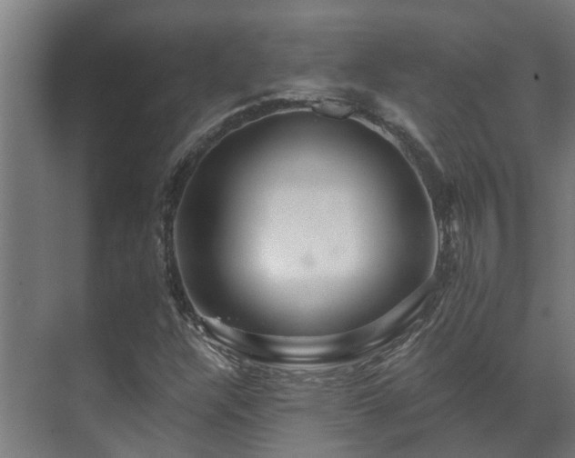 X0000071331304200606261236