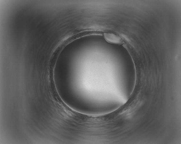 X0000071331307200606261236