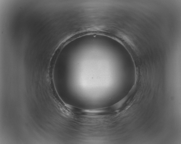 X0000071331308200606261236