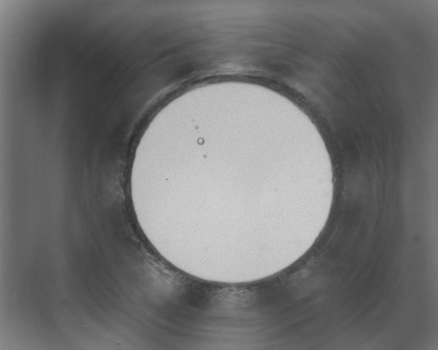 X0000071331314200606261236