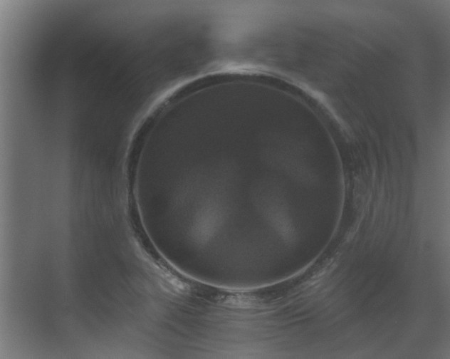 X0000071331319200606261236