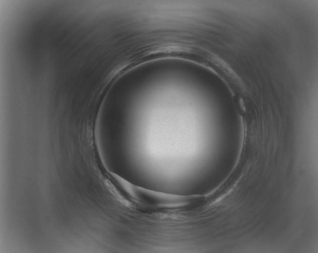 X0000071331321200606261236