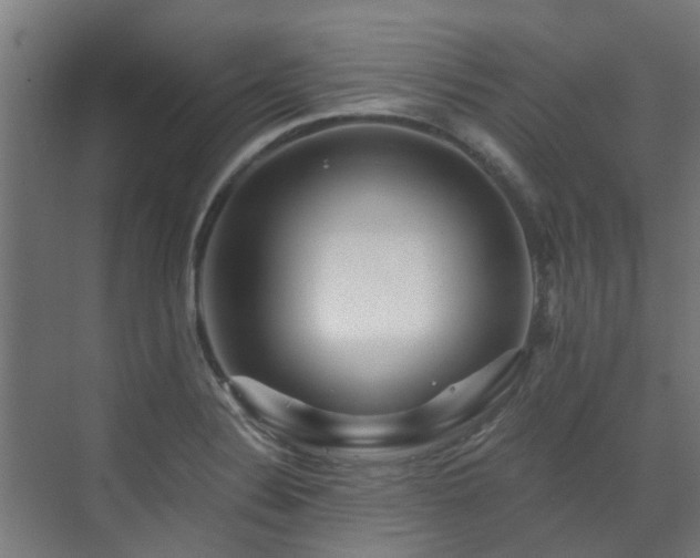 X0000071331324200606261236