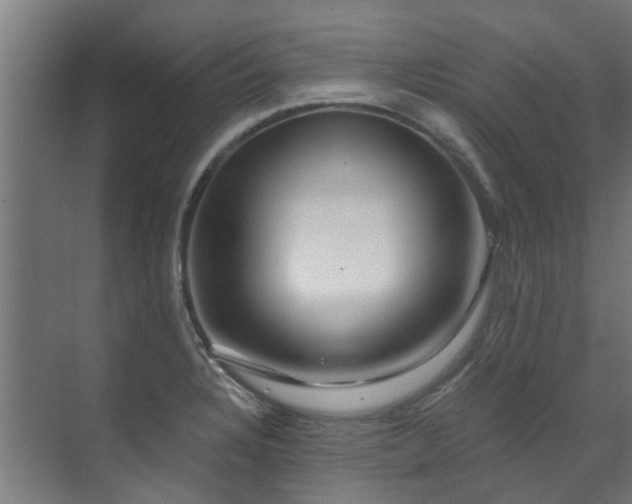 X0000071331328200606261237