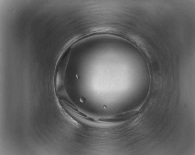 X0000071331330200606261237