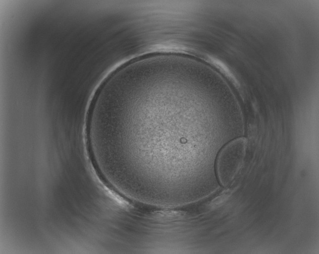 X0000071331331200606261237