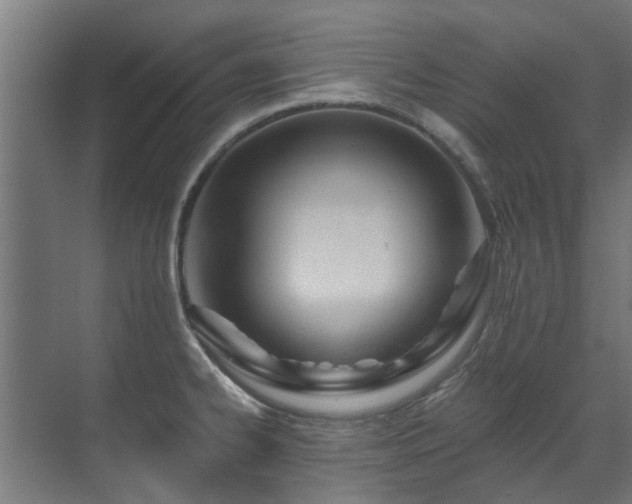 X0000071331334200606261237