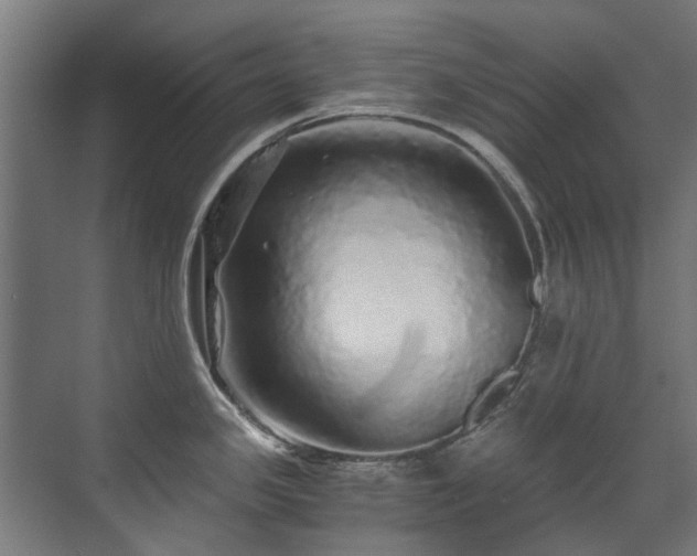 X0000071331341200606261237