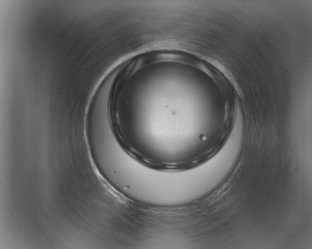 X0000071331342200606261237