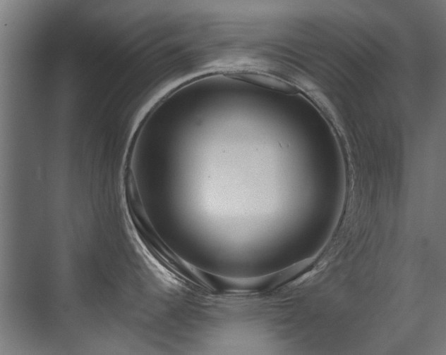 X0000071331344200606261237