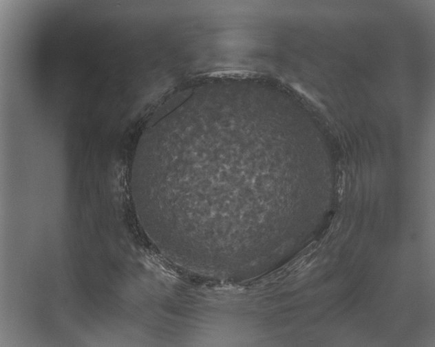 X0000071331351200606261236