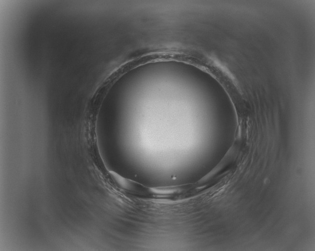 X0000071331352200606261236