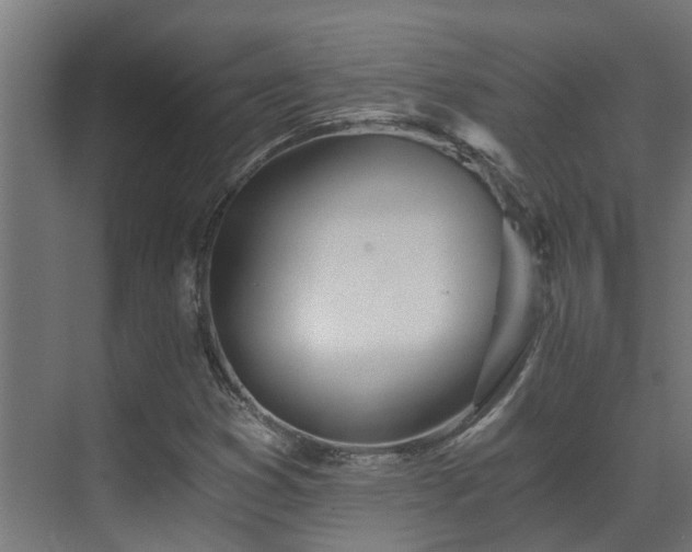 X0000071331353200606261236