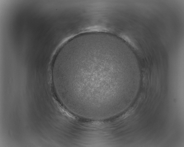 X0000071331358200606261236