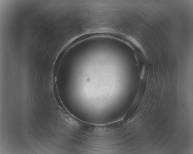 X0000071331364200606261236