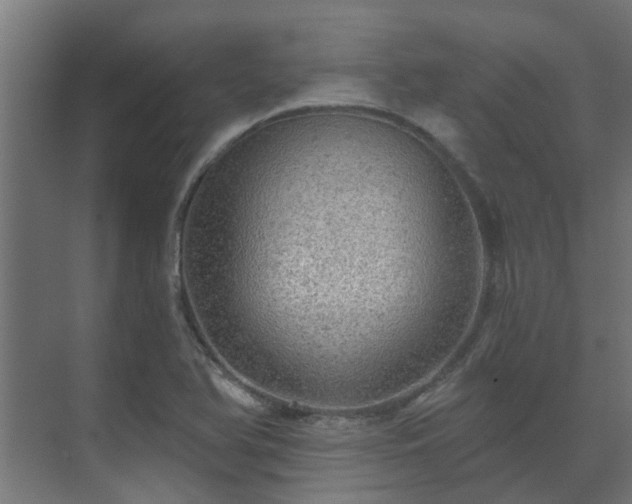 X0000071331366200606261236