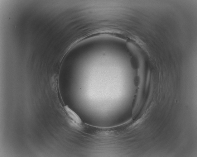 X0000071331369200606261236