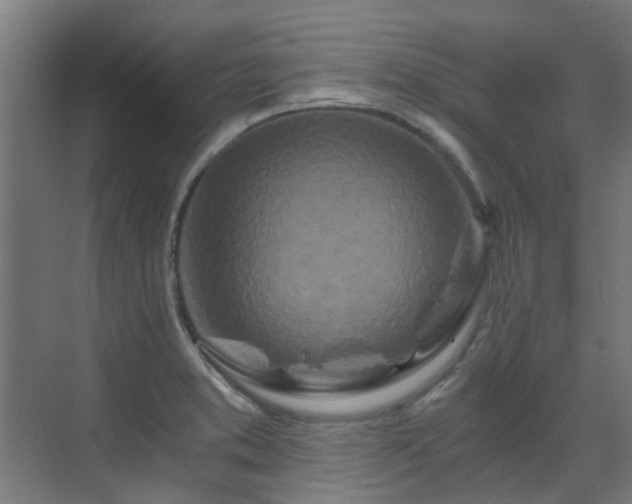 X0000071331373200606261236