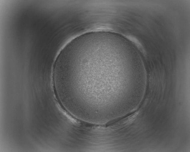 X0000071331374200606261236