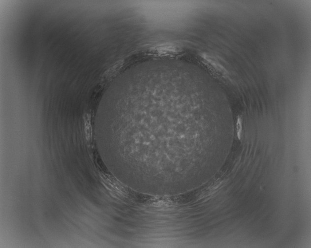 X0000071331395200606261234