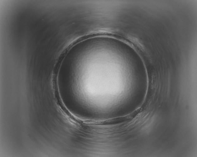 X0000071331404200606261235